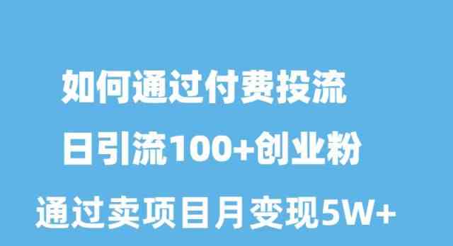 （10189期）如何通过付费投流日引流100+创业粉月变现5W+-资源网创