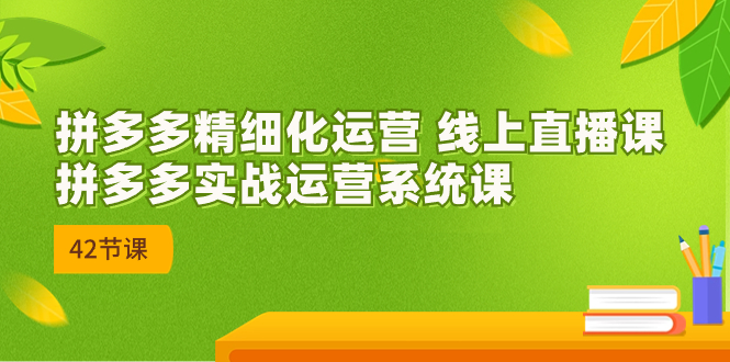 2023年8月新课-拼多多精细化运营 线上直播课：拼多多实战运营系统课-42节-资源网创