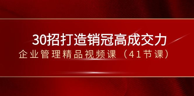 30招-打造销冠高成交力-企业管理精品视频课（41节课）-资源网创