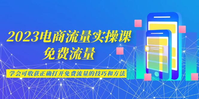 2023电商流量实操课-免费流量，学会可收获正确打开免费流量的技巧和方法-资源网创