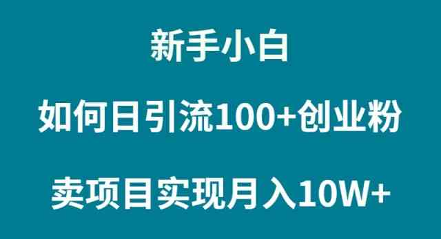 （9556期）新手小白如何通过卖项目实现月入10W+-资源网创