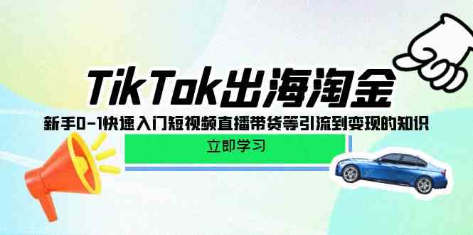 （10035期）TikTok-出海淘金，新手0-1快速入门短视频直播带货等引流到变现的知识-资源网创