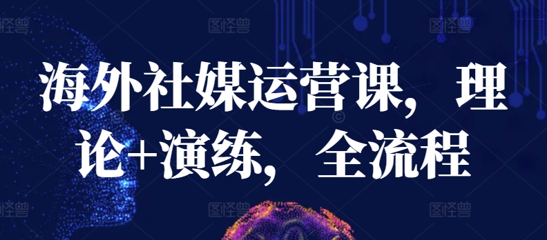 海外社媒运营课，理论+演练，全流程-资源网创