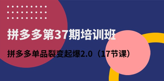 拼多多第37期培训班：拼多多单品裂变起爆2.0（17节课）-资源网创