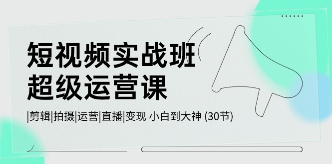 短视频实战班超级运营课 |剪辑|拍摄|运营|直播|变现 小白到大神 (30节)-资源网创
