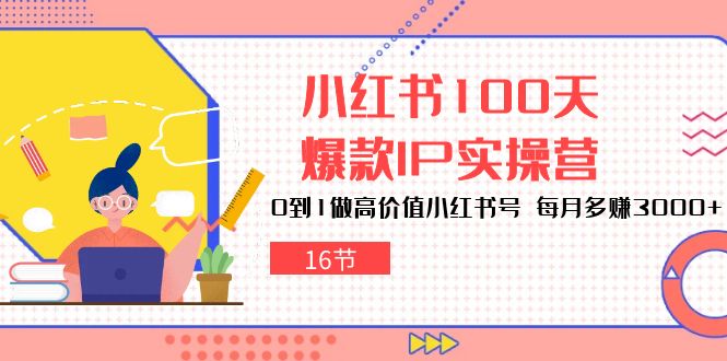 小红书100天爆款IP实操营，0到1做高价值小红书号，每月多赚3000+（16节）-资源网创