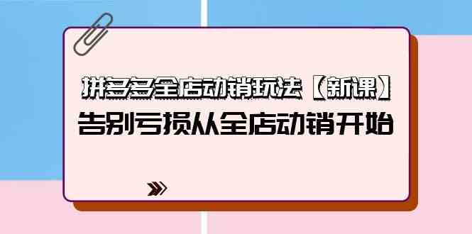 （9974期）拼多多全店动销玩法【新课】，告别亏损从全店动销开始（4节视频课）-资源网创