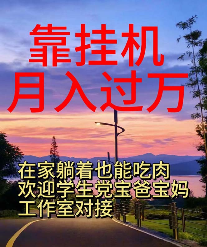 （10838期）靠挂机，日入1000+，躺着也能吃肉，适合宝爸宝妈学生党工作室，电脑手…-资源网创