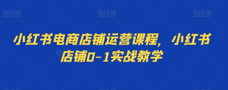 小红书电商店铺运营课程，小红书店铺0-1实战教学-资源网创