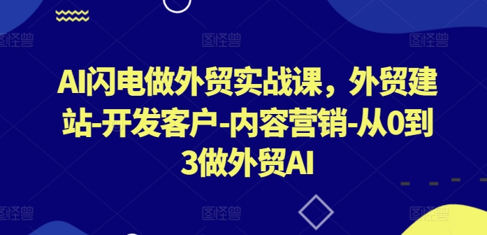 AI闪电做外贸实战课，​外贸建站-开发客户-内容营销-从0到3做外贸AI-资源网创