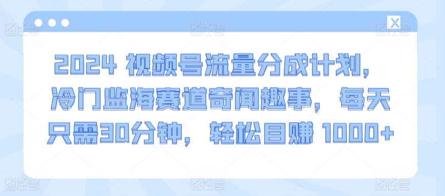 2024视频号流量分成计划，冷门监海赛道奇闻趣事，每天只需30分钟，轻松目赚 1000+-资源网创