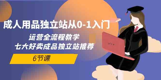 （10082期）成人用品独立站从0-1入门，运营全流程教学，七大好卖成品独立站推荐-6节课-资源网创