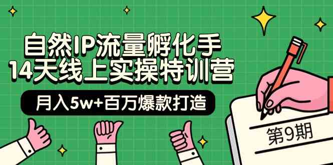 自然IP流量孵化手14天线上实操特训营【第9期】月入5w+百万爆款打造 (74节)-资源网创