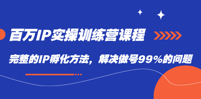 百万IP实战训练营课程，完整的IP孵化方法，解决做号99%的问题-资源网创
